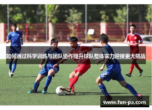 如何通过科学训练与团队协作提升球队整体实力迎接更大挑战