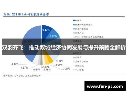 双羽齐飞：推动双城经济协同发展与提升策略全解析