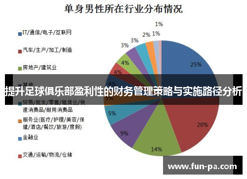 提升足球俱乐部盈利性的财务管理策略与实施路径分析 提升足球俱乐部盈利性的财务管理策略与实施路径分析