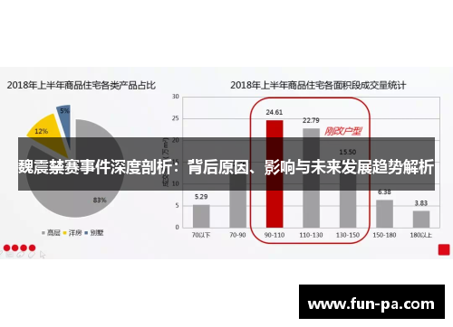 魏震禁赛事件深度剖析：背后原因、影响与未来发展趋势解析