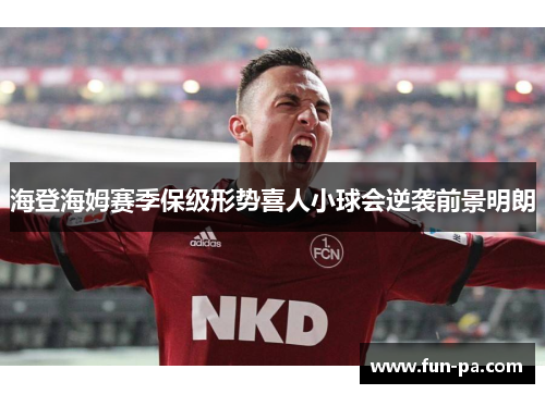 海登海姆赛季保级形势喜人小球会逆袭前景明朗