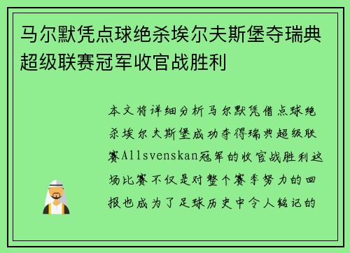 马尔默凭点球绝杀埃尔夫斯堡夺瑞典超级联赛冠军收官战胜利